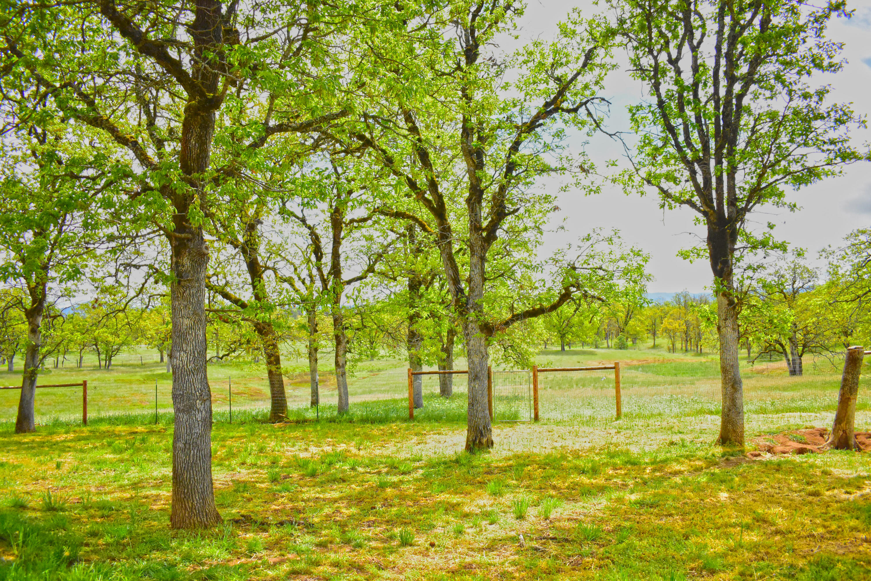 13822 Perry Road White City, OR 97503 - Photo 17 of 39 Fenced Back Yard with Unobstructed Nature Views