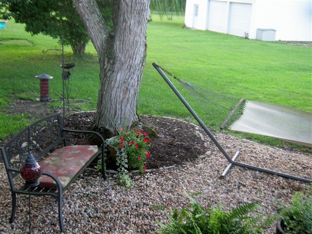 1959 Old Dover Road Clarksville, TN 37042 - Photo 8 of 20 Pretty landscaping, cozy and private country setting.
