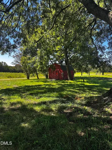 a view of a park with large trees
