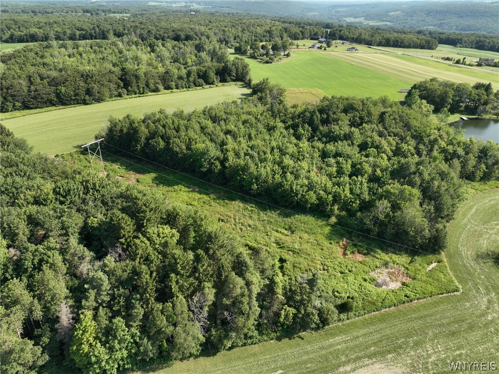 Thomas Road Varysburg, NY 14167 - Photo 16 of 21
