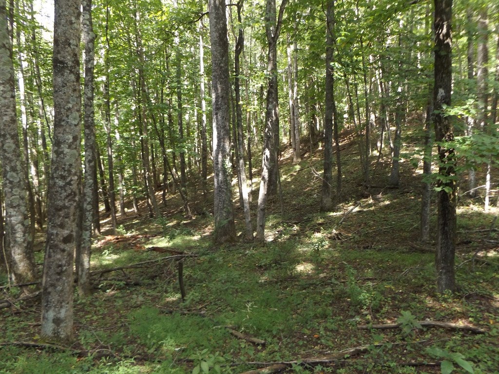 291 Laurel Fork Road Laurel Fork, VA 24352 - Photo 27 of 28 Gallery Image 27