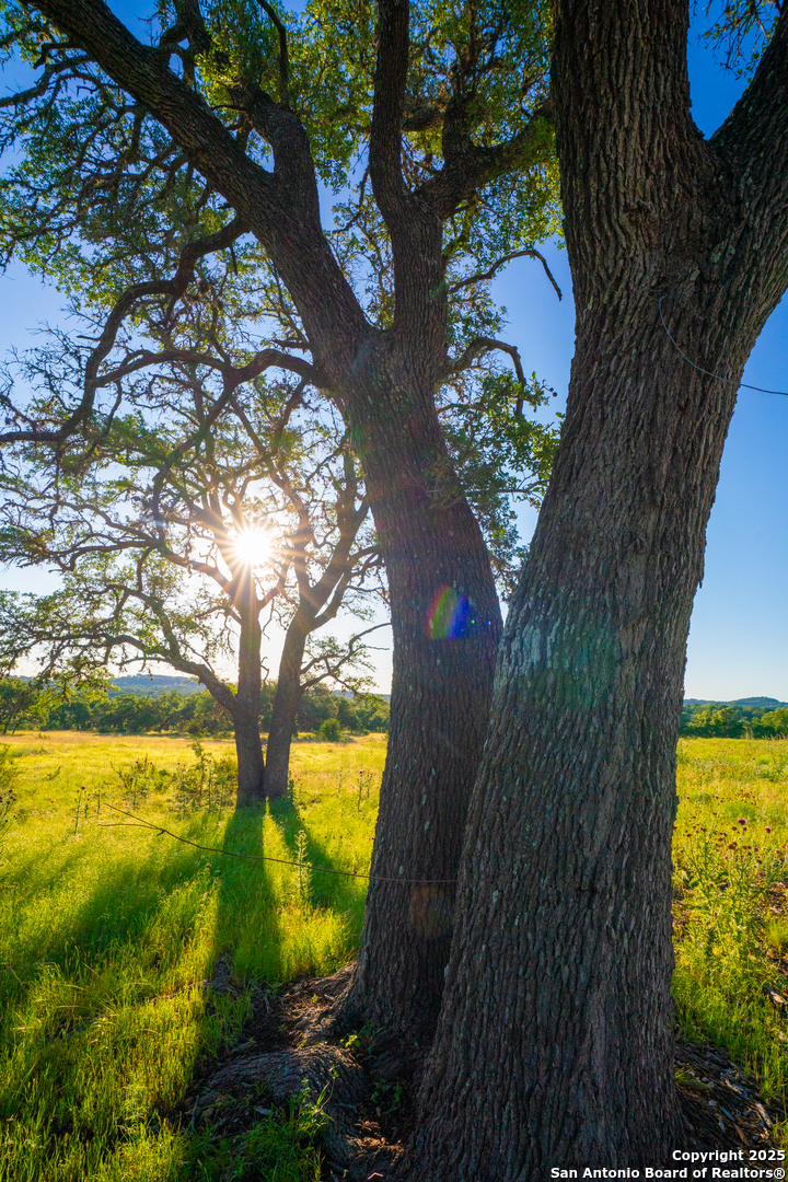 91 Waring Welfare Road Boerne, TX 78006 - Photo 12 of 31 a view of outdoor space with garden
