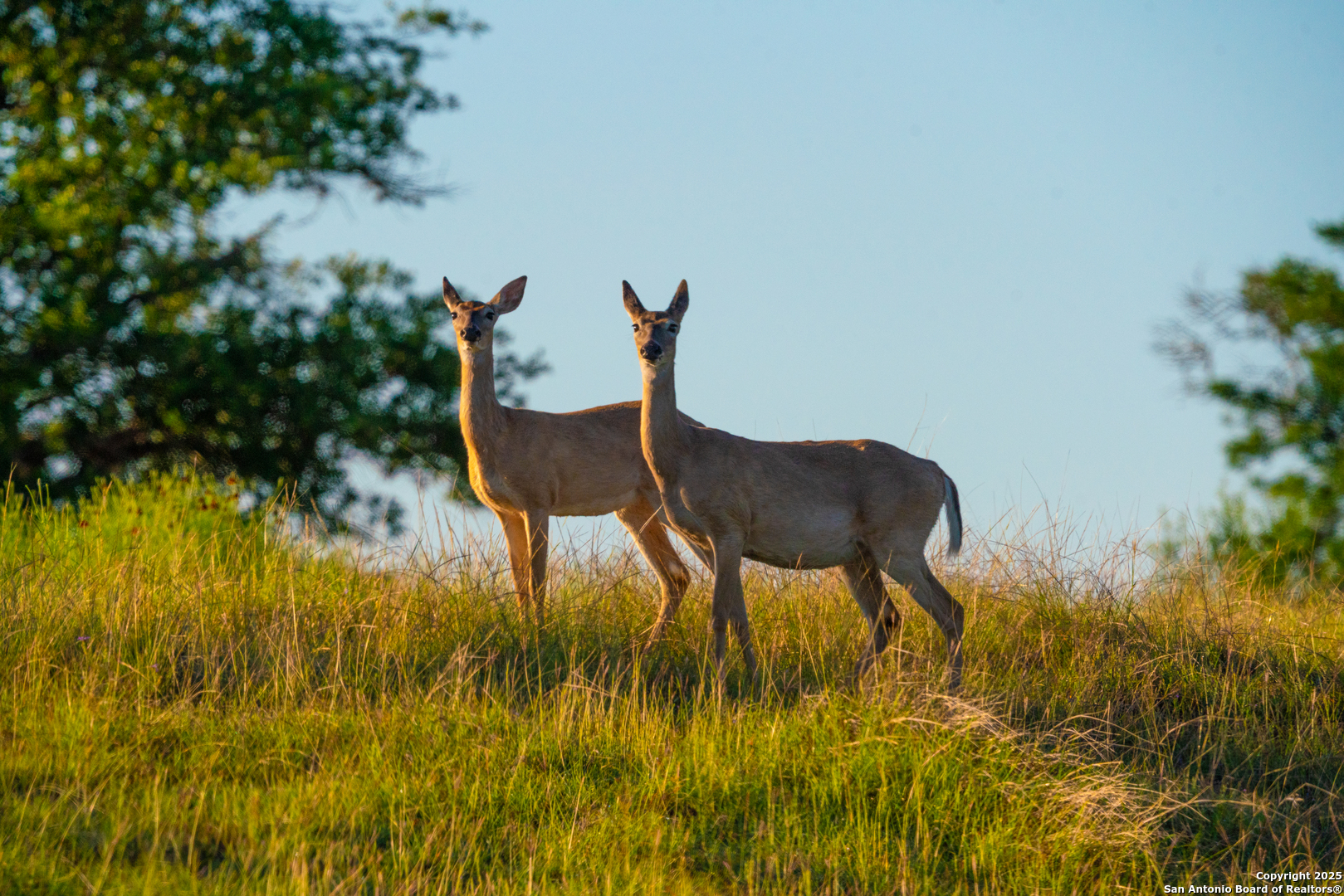 91 Waring Welfare Road Boerne, TX 78006 - Photo 13 of 31 a view of balcony and patio