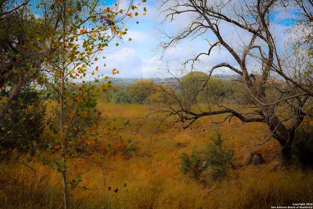 $2,850,000 | 91 Waring Welfare Road, Boerne, TX 78006