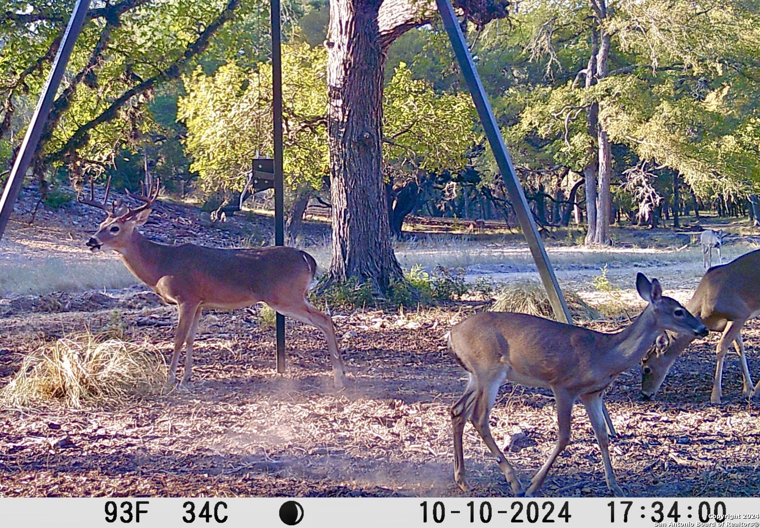 91 Waring Welfare Road Boerne, TX 78006 - Photo 24 of 31 a view of a chairs and fire pit