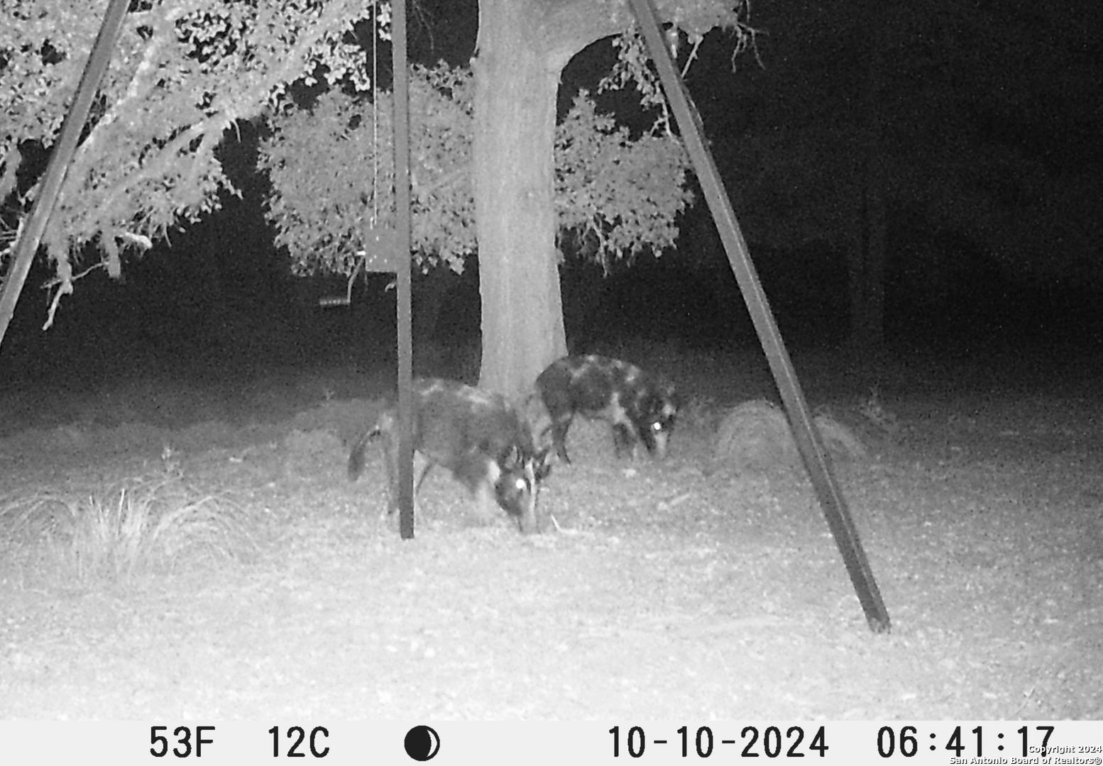 91 Waring Welfare Road Boerne, TX 78006 - Photo 25 of 31