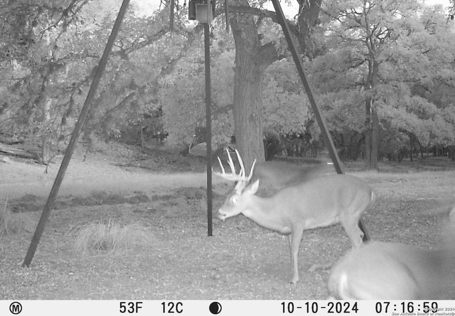 91 Waring Welfare Road Boerne, TX 78006 - Photo 27 of 31