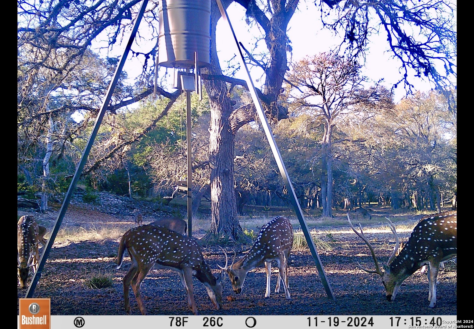 91 Waring Welfare Road Boerne, TX 78006 - Photo 29 of 31 a backyard of a house with lots of green space