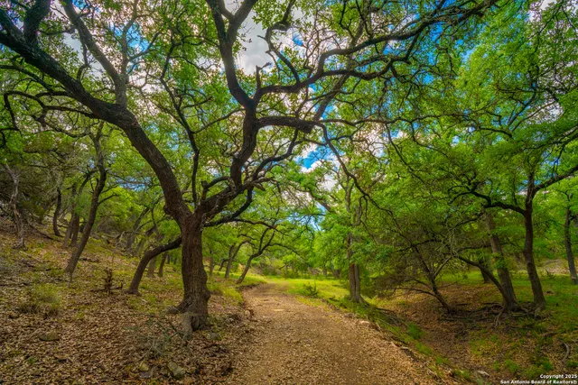 $2,850,000 | 91 Waring Welfare Road, Boerne, TX 78006