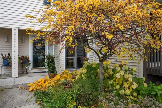 a view of a pathway of the house
