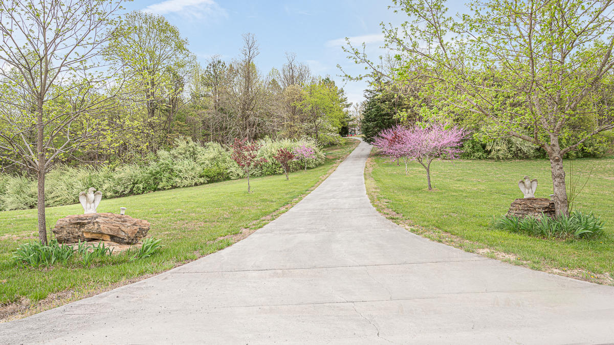 24 Longfield Road Fincastle, VA 24090 - Photo 4 of 86 untitled-4