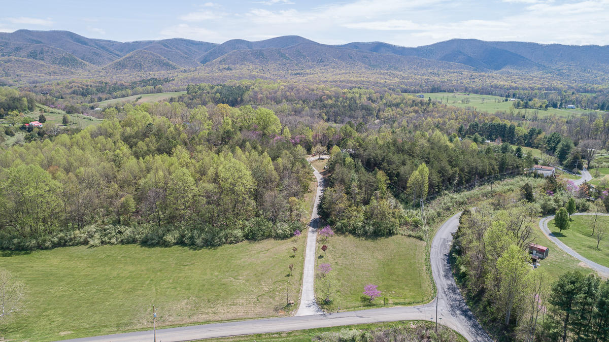 24 Longfield Road Fincastle, VA 24090 - Photo 5 of 86 untitled-5