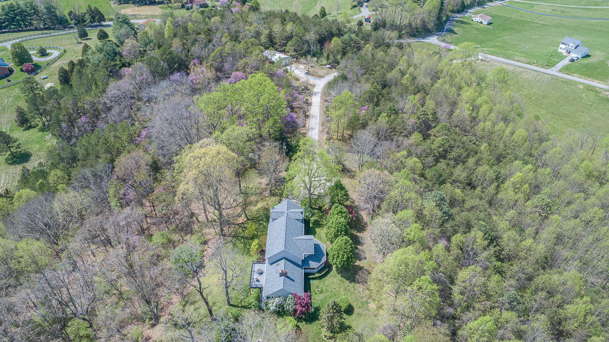 24 Longfield Road Fincastle, VA 24090 - Photo 6 of 86 untitled-6