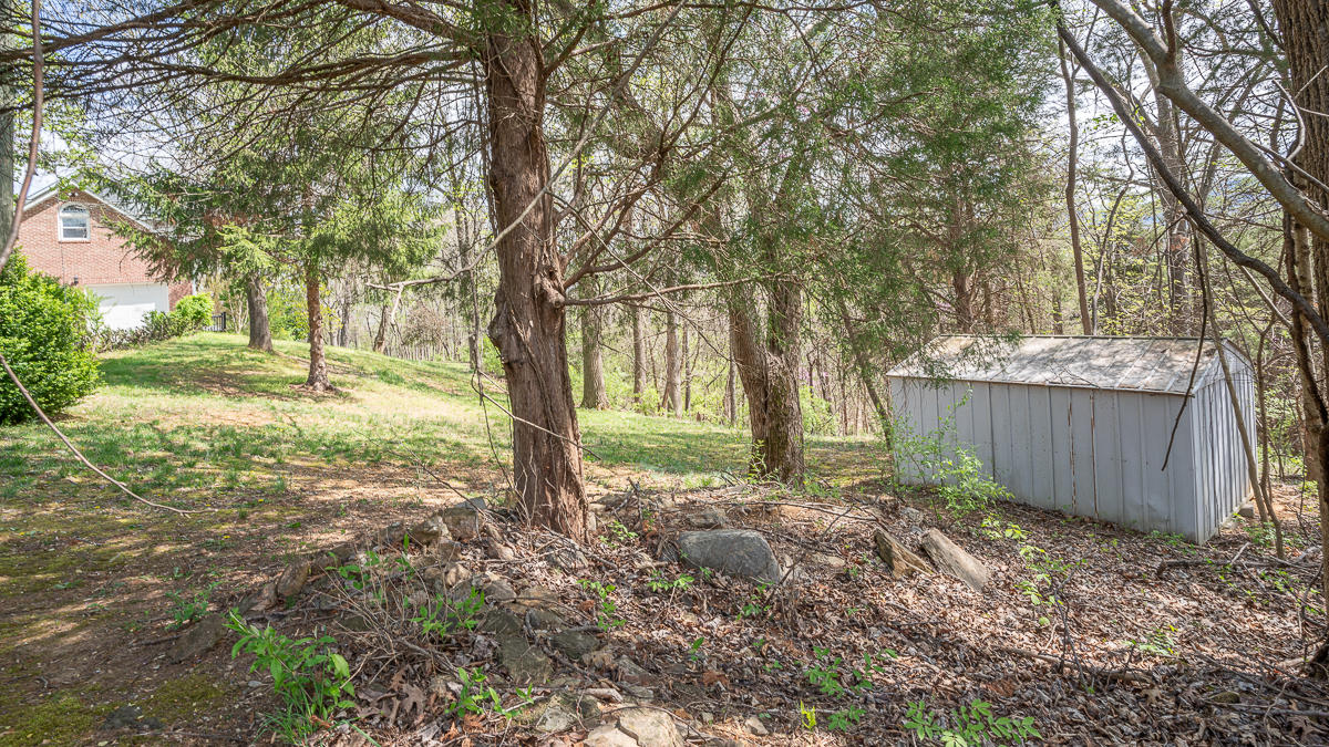 24 Longfield Road Fincastle, VA 24090 - Photo 77 of 86 untitled-77