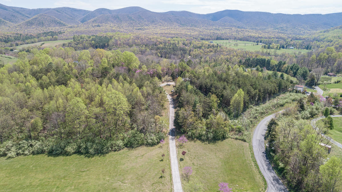 24 Longfield Road Fincastle, VA 24090 - Photo 85 of 86 untitled-85