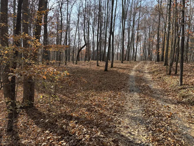 a backyard of a house with large trees
