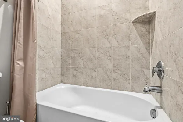 a view of a park with large trees