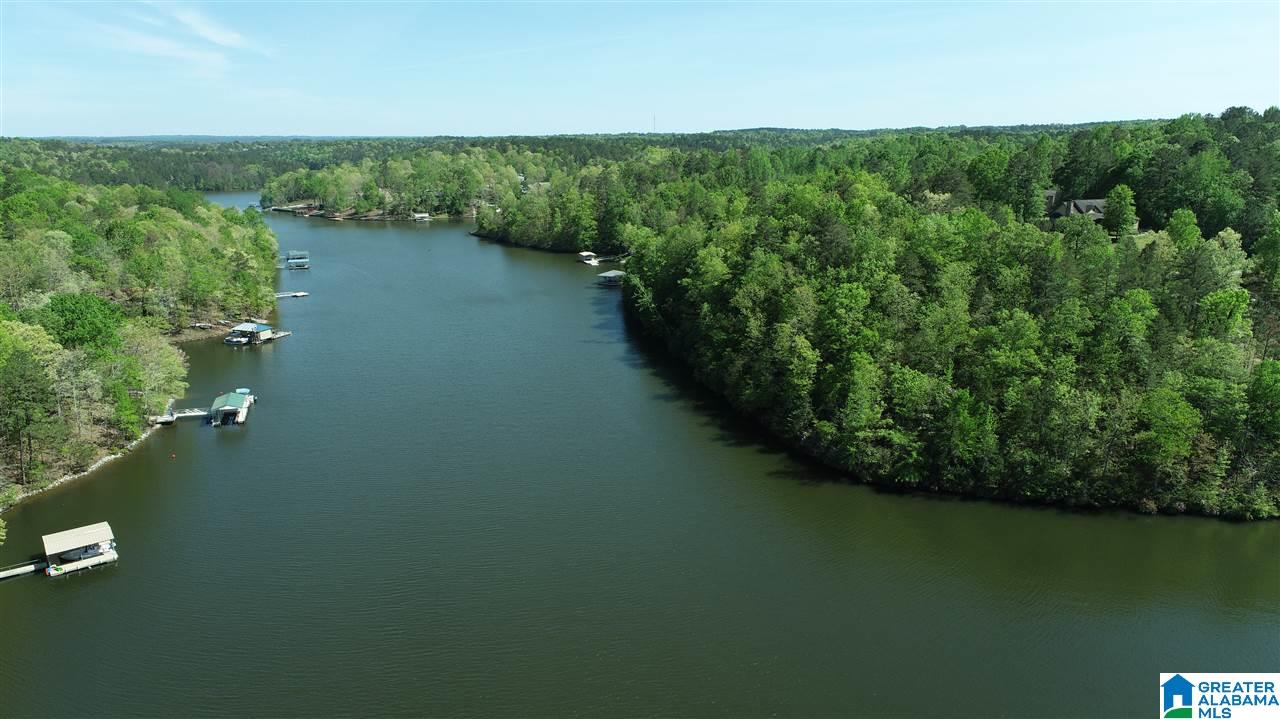 0 Brookwater Way, Unit 6 Wedowee, AL 36278 - Photo 7 of 7