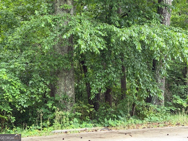 0 Johnson Road Palmetto, GA 30268 - Photo 10 of 12
