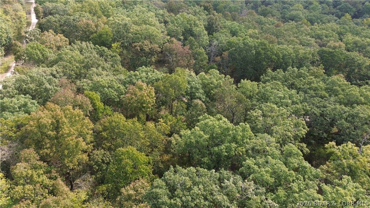 Ozark Trail Road Lincoln, MO 65338 - Photo 5 of 6 Gallery Image 5