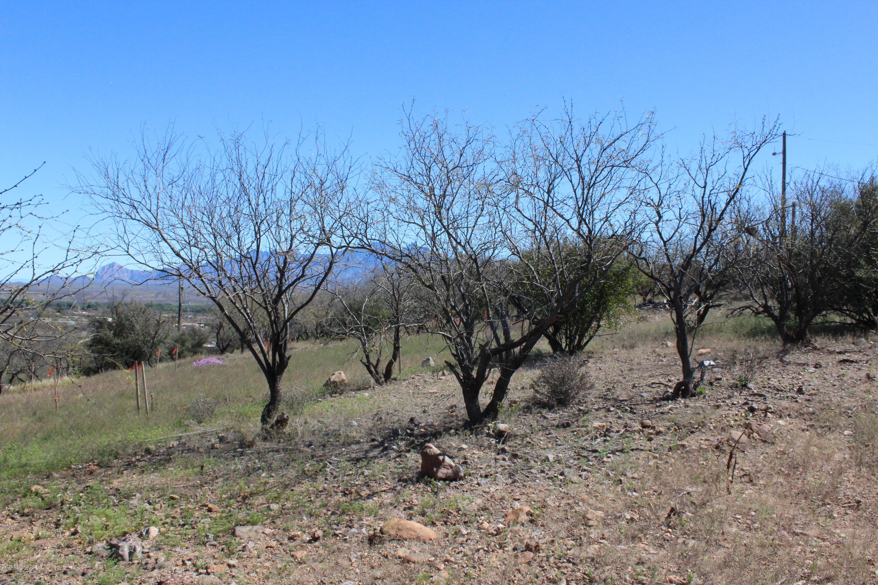 29 Ridge Court, Unit 6 Tubac, AZ 85646 - Photo 10 of 22