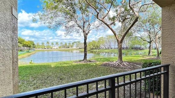 a view of a yard with large trees