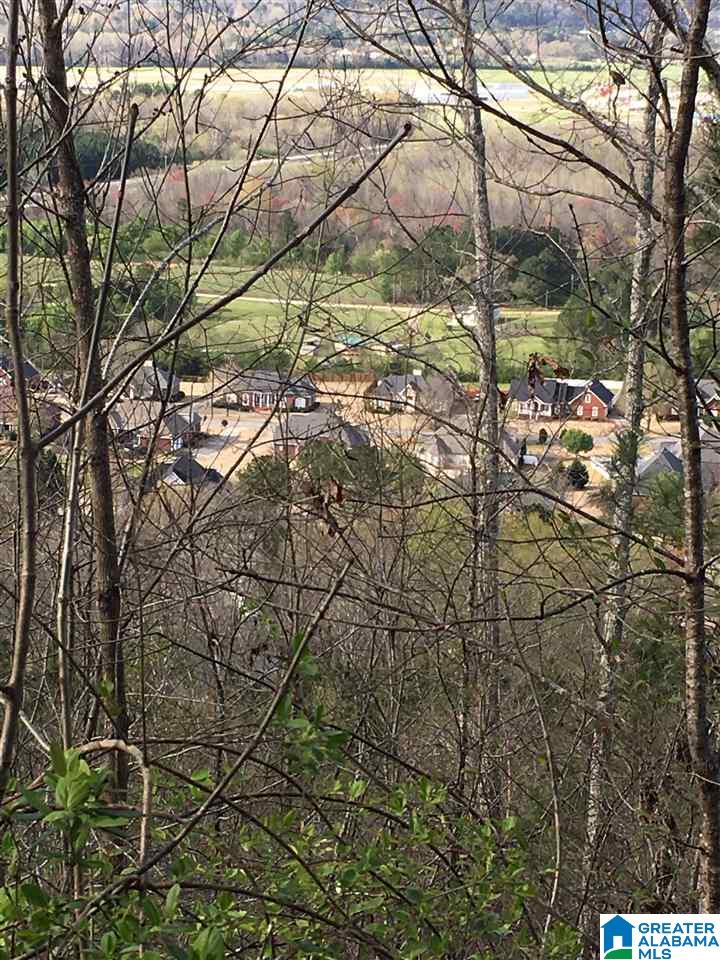 230 County Line Road Oxford, AL 36203 - Photo 32 of 50