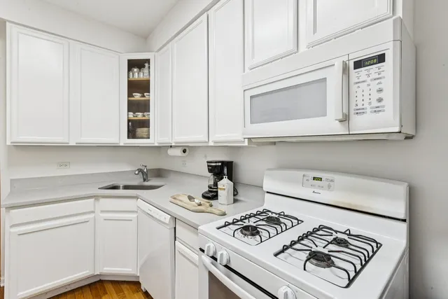 $249,900 | 822 Washington Boulevard, Unit 3, Oak Park, IL 60302