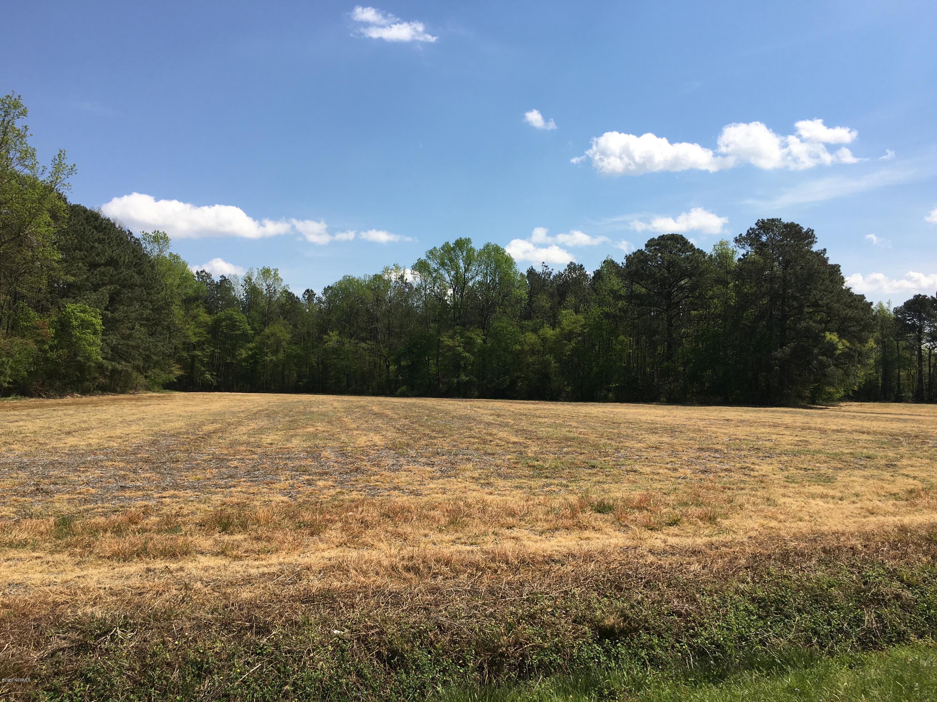101 Cannan Road Mount Olive, NC 28365 - Photo 1 of 6 5.20 +- Acres Cropland on Cannan Road and Corbett Road