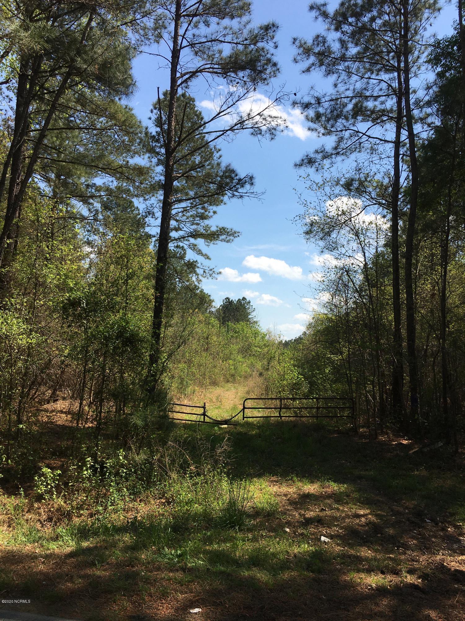 101 Cannan Road Mount Olive, NC 28365 - Photo 5 of 6 Path from Cannan Road.