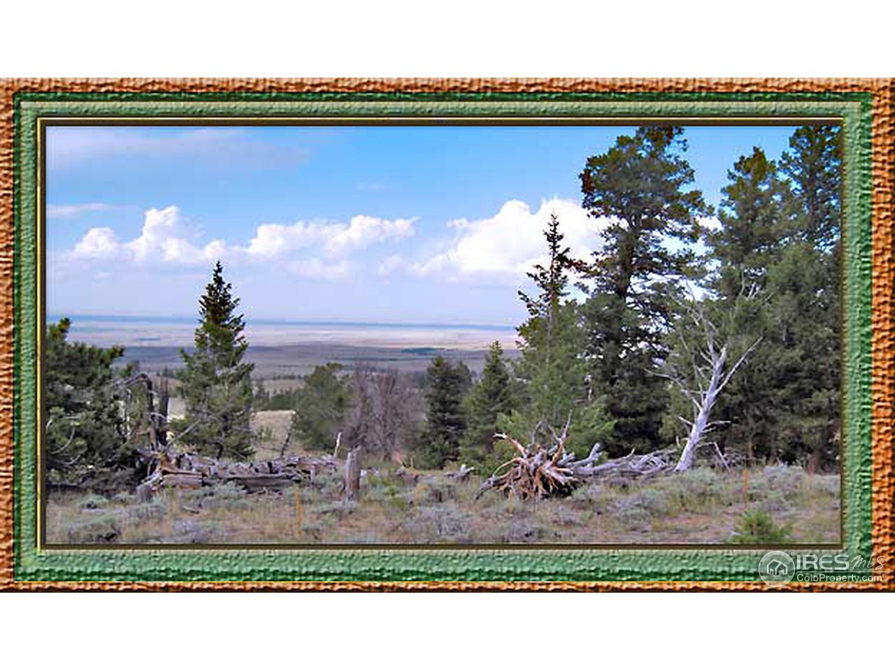 Wildnerness Ranch Road Livermore, CO 80536 - Photo 1 of 10 Gallery Image 1
