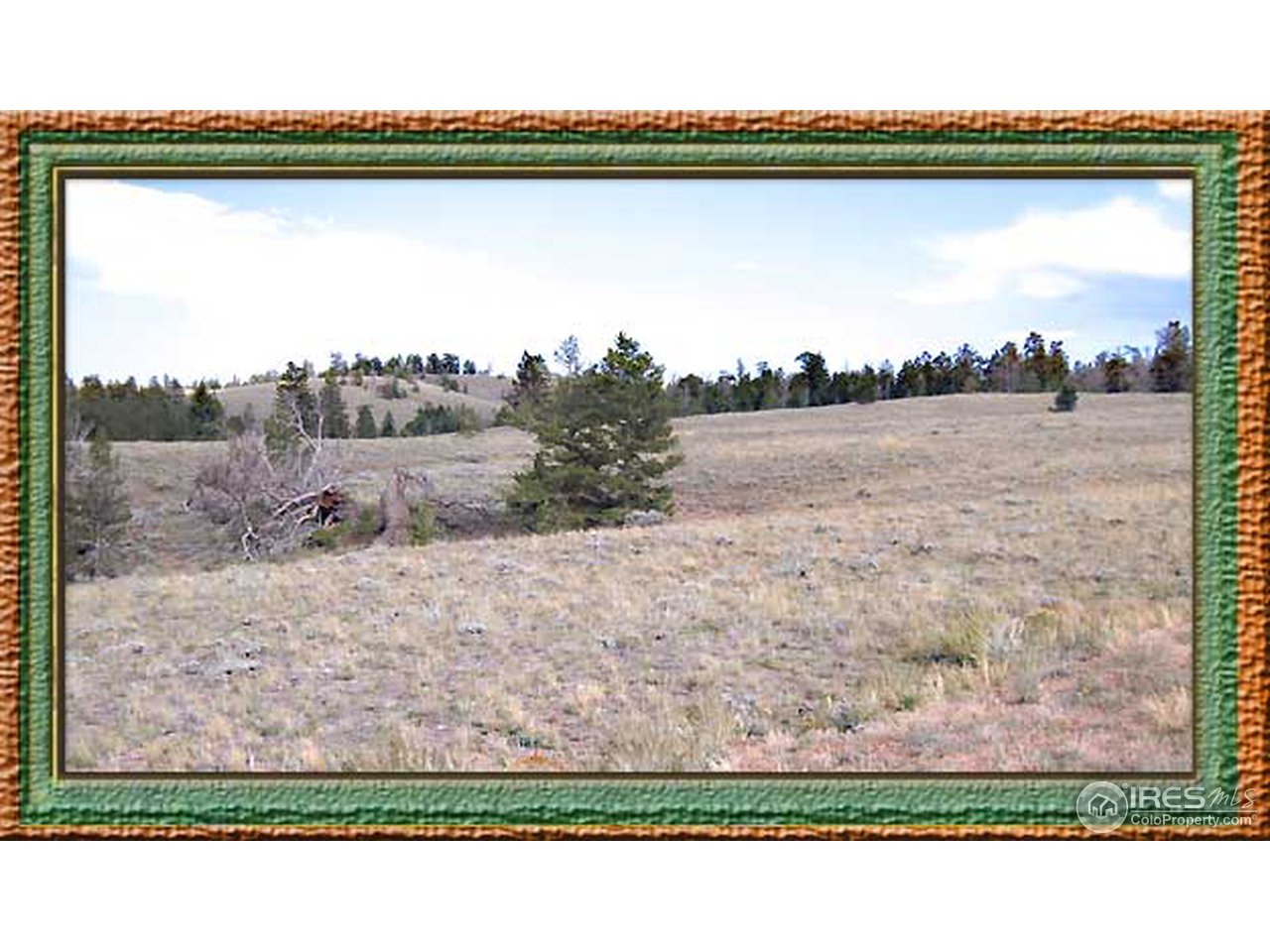 Wildnerness Ranch Road Livermore, CO 80536 - Photo 2 of 10 Gallery Image 2
