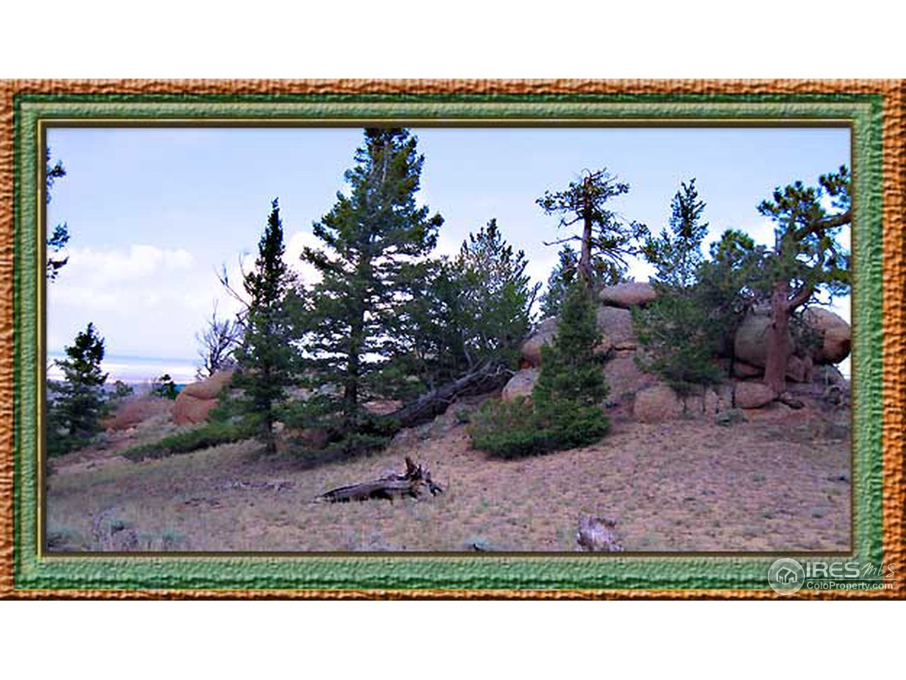 Wildnerness Ranch Road Livermore, CO 80536 - Photo 3 of 10 Gallery Image 3