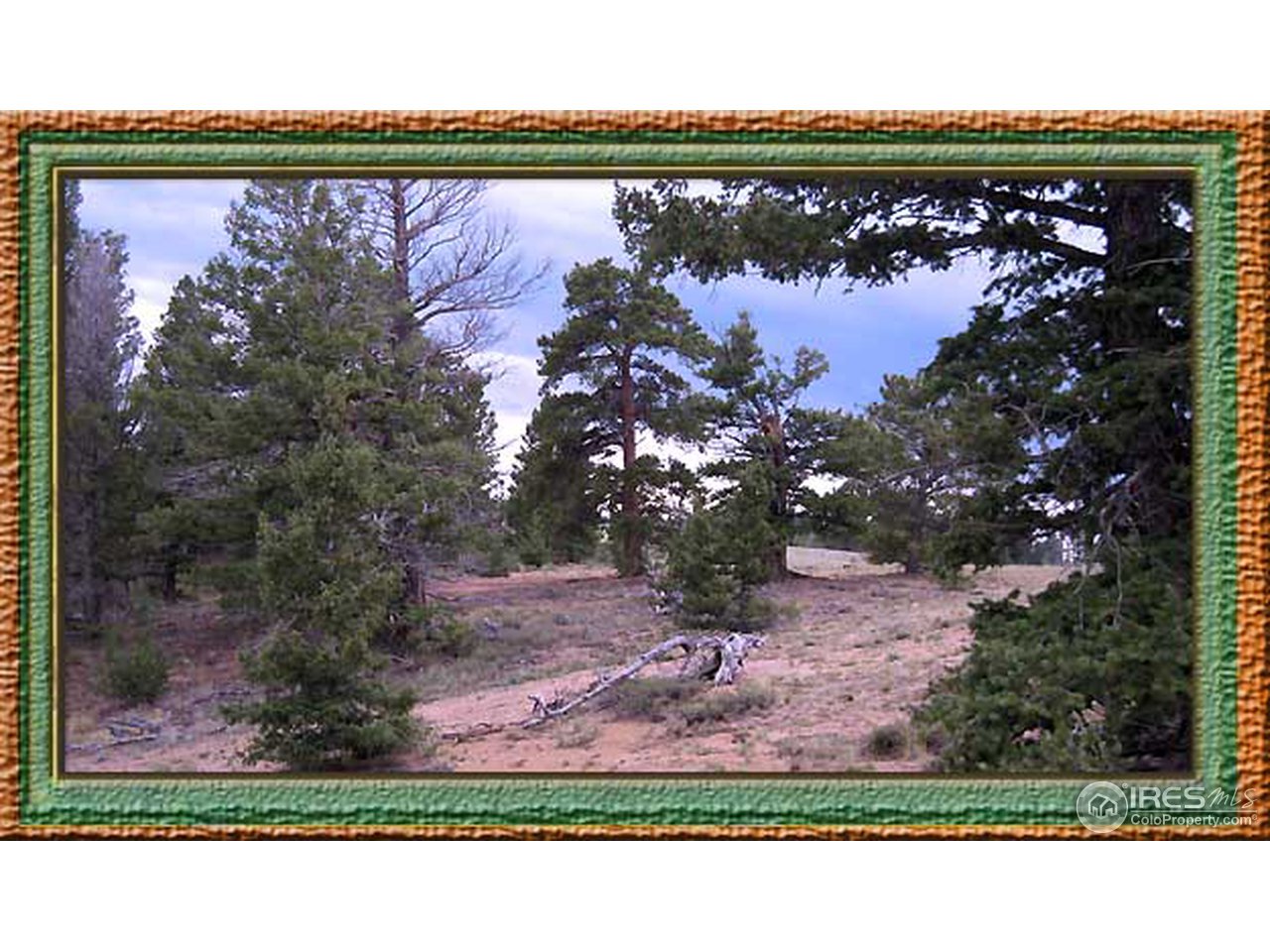 Wildnerness Ranch Road Livermore, CO 80536 - Photo 4 of 10 Gallery Image 4