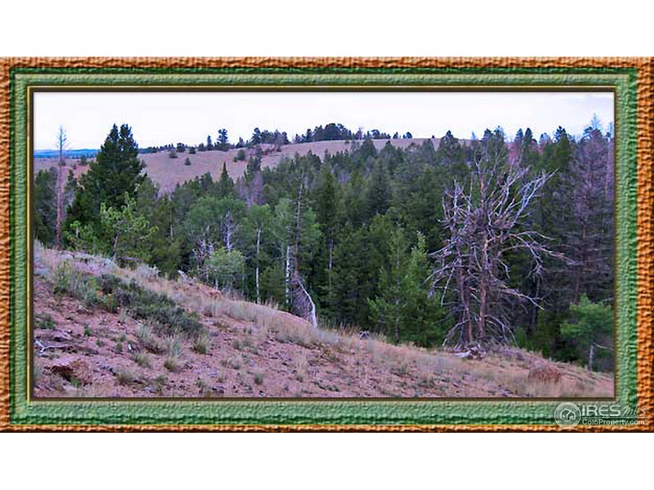 Wildnerness Ranch Road Livermore, CO 80536 - Photo 5 of 10 Gallery Image 5