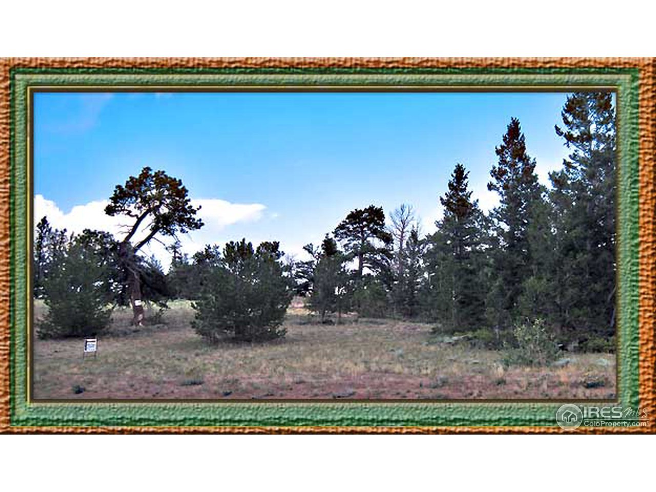 Wildnerness Ranch Road Livermore, CO 80536 - Photo 6 of 10 Gallery Image 6