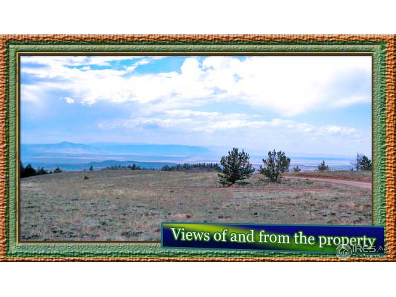 Wildnerness Ranch Road Livermore, CO 80536 - Photo 7 of 10 Gallery Image 7