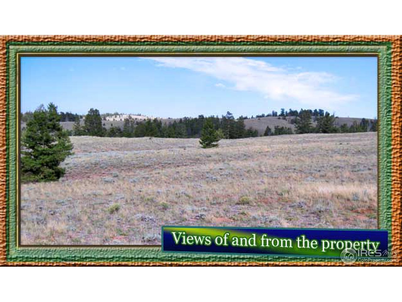 Wildnerness Ranch Road Livermore, CO 80536 - Photo 10 of 10 Gallery Image 10