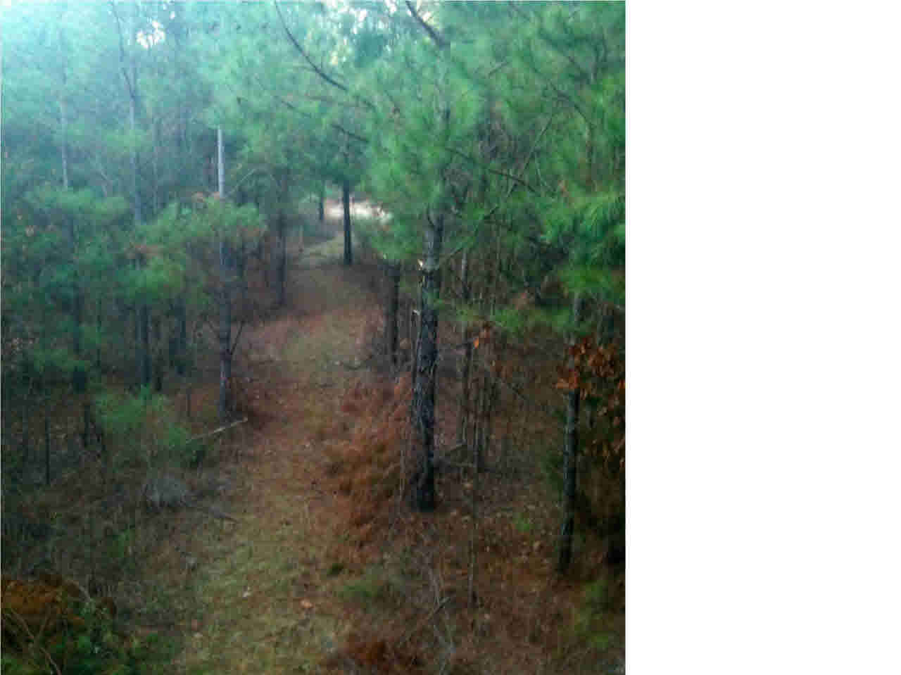 1174 Dry Grove Road Crystal Springs, MS 39059 - Photo 13 of 18 Photo 13