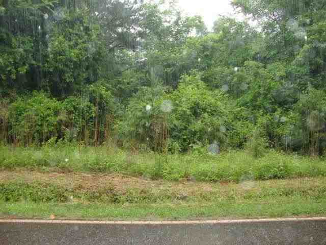 1613 A Price House Road Roebuck, SC 29376 - Photo 10 of 14