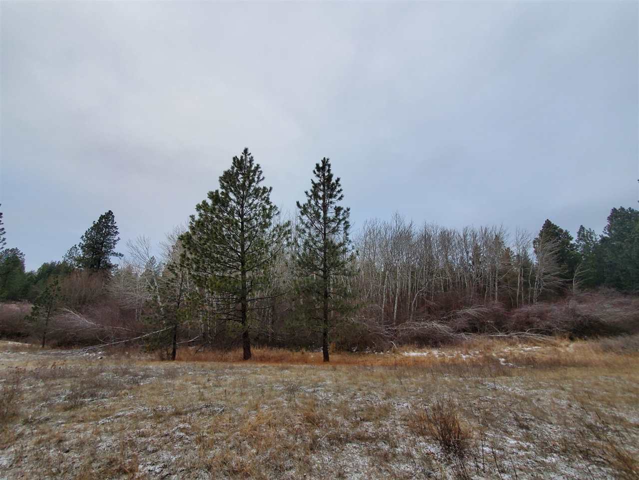 6270 Miller Mountain Road Fruitland, WA 99129 - Photo 1 of 20 Gallery Image 1