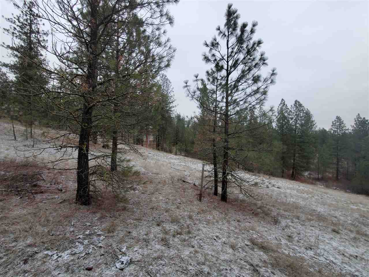 6270 Miller Mountain Road Fruitland, WA 99129 - Photo 11 of 20 Gallery Image 11