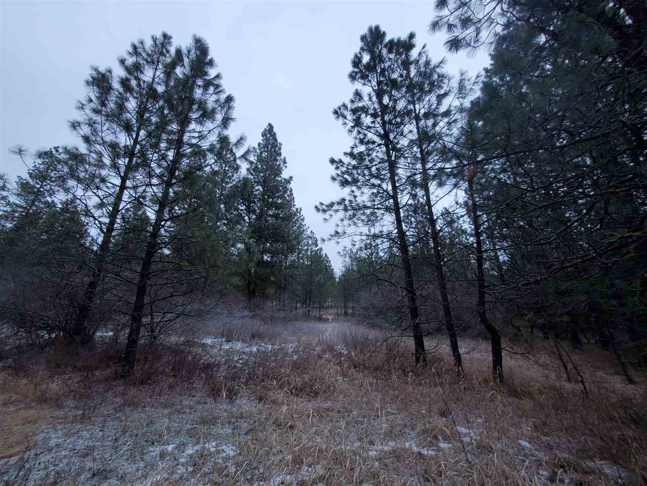 6270 Miller Mountain Road Fruitland, WA 99129 - Photo 13 of 20 Gallery Image 13