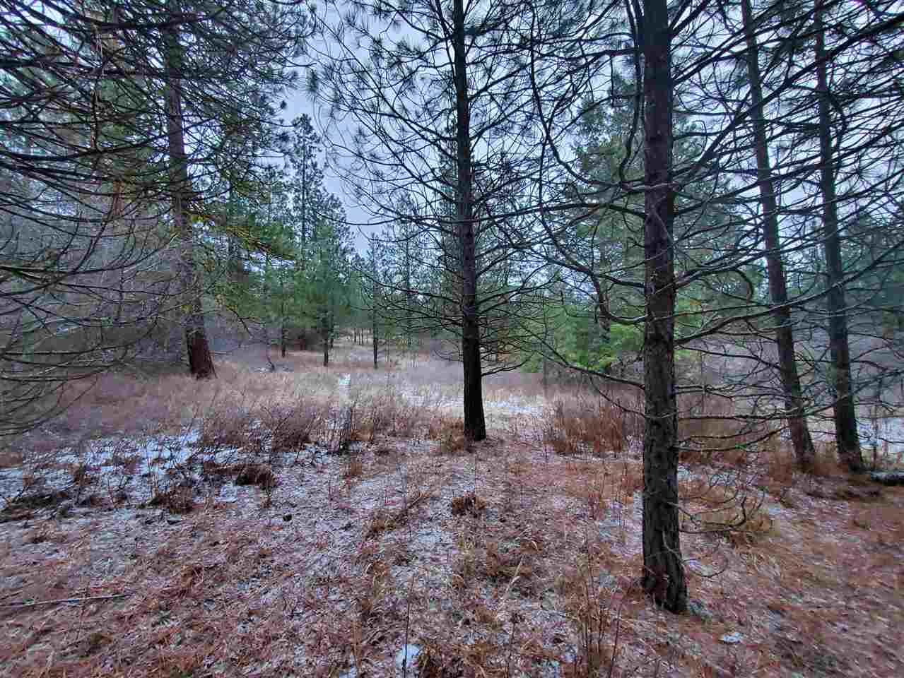 6270 Miller Mountain Road Fruitland, WA 99129 - Photo 14 of 20 Gallery Image 14
