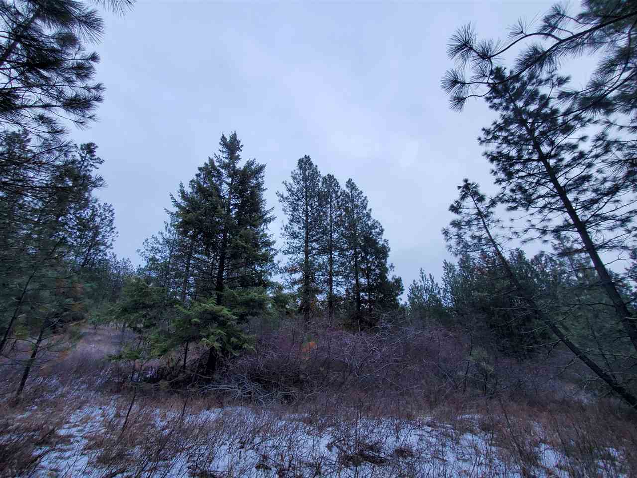 6270 Miller Mountain Road Fruitland, WA 99129 - Photo 15 of 20 Gallery Image 15