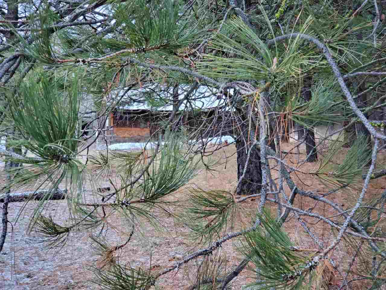 6270 Miller Mountain Road Fruitland, WA 99129 - Photo 16 of 20 Gallery Image 16