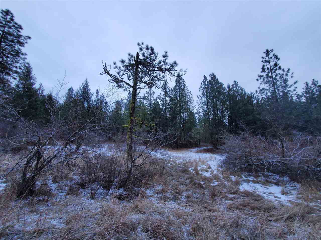 6270 Miller Mountain Road Fruitland, WA 99129 - Photo 17 of 20 Gallery Image 17
