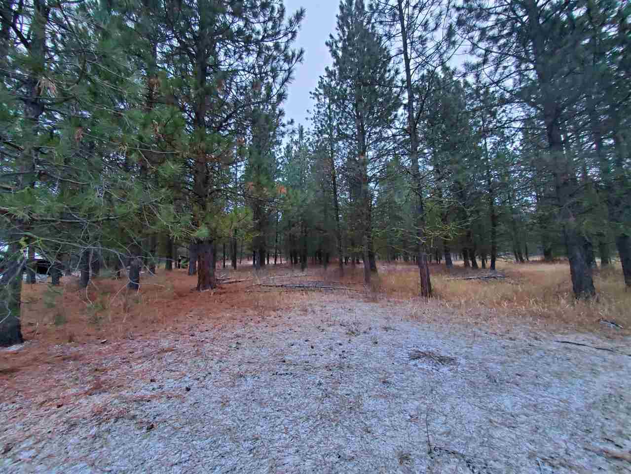 6270 Miller Mountain Road Fruitland, WA 99129 - Photo 18 of 20 Gallery Image 18