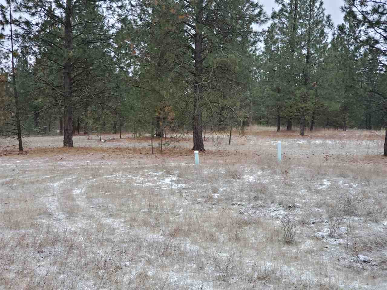 6270 Miller Mountain Road Fruitland, WA 99129 - Photo 3 of 20 Gallery Image 3
