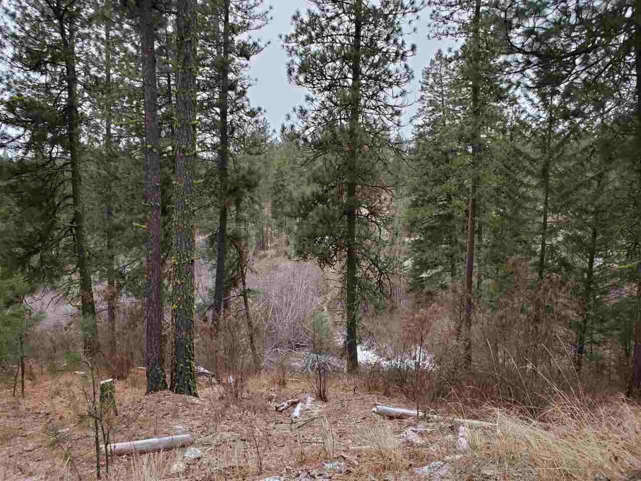 6270 Miller Mountain Road Fruitland, WA 99129 - Photo 4 of 20 Gallery Image 4